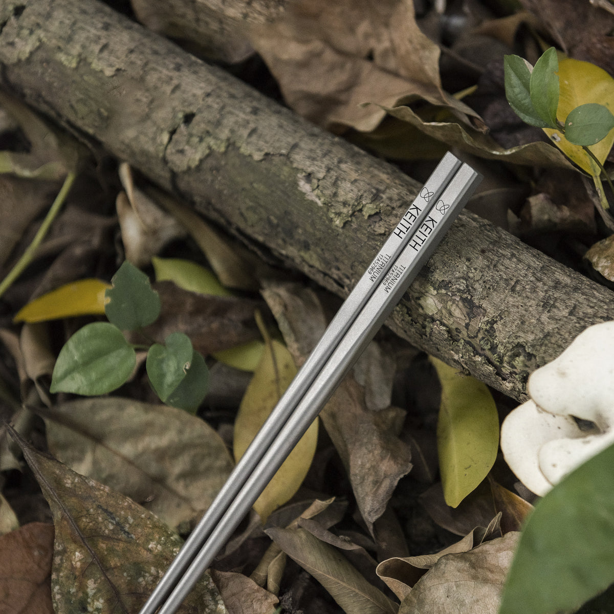 Keith Titanium Ti5633 titanium chopsticks resting on a branch among dry leaves